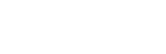 logo of Cygnett